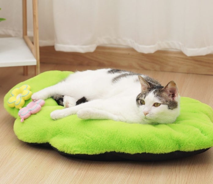 Cat Tree Tower with Scratching Posts, Tent, Cushion, Multi-Level Cat Furniture64502068186369112