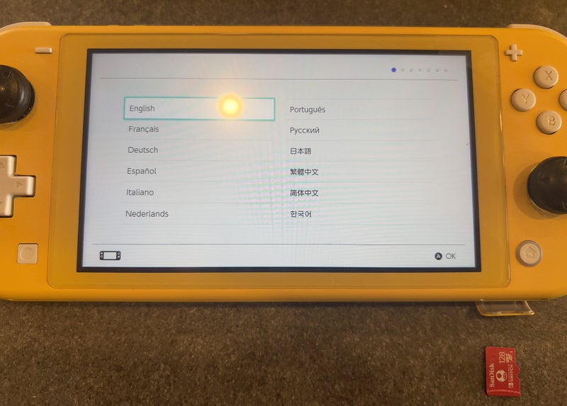 Nintendo Switch Lite w case and micro SD card62863228085761112