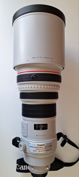 Canon EF 400mm F2.8 L IS USM Prime629357017253141113