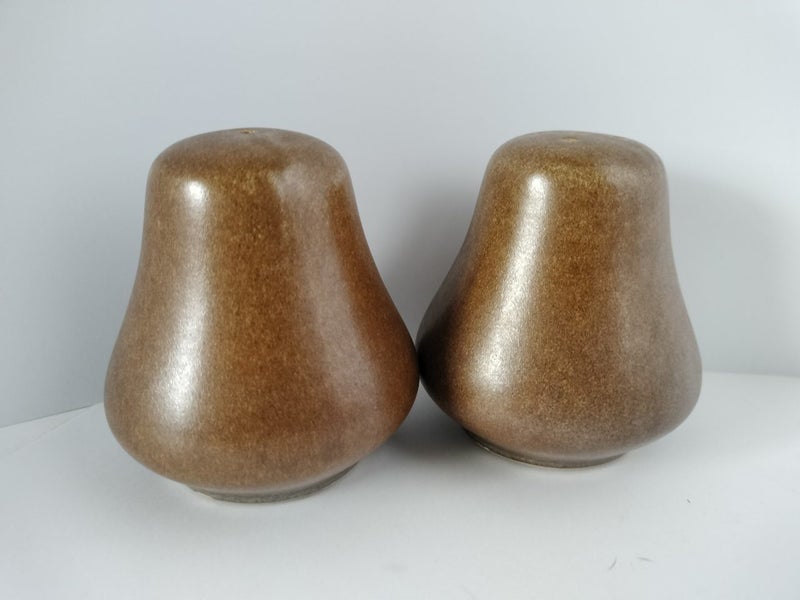 Temuka S&P shakers Carousel 2