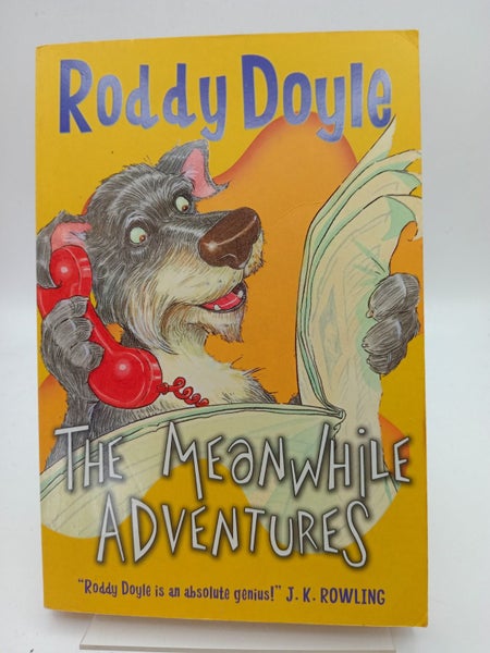 Meanwhile Adventures by Roddy Doyle629307037205781119