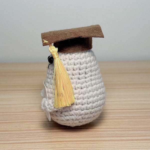 Handmade Crochet Positive Doctor/ Graduate Potato, Funny Crochet toy Carousel 2
