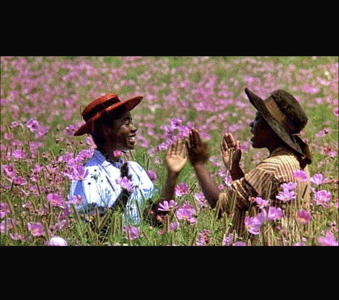 THE COLOR PURPLE - A Steven Spielberg Film - 2 DISC SPECIAL EDITION62973869487618114