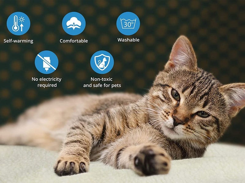 Self Heating Pad for Cat Dog NZ Clearance Carousel 2