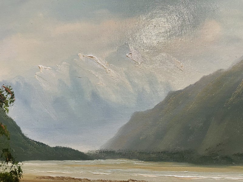 A stunning ORIGINAL NZ Oil painting by M Finnerty62854319863426112