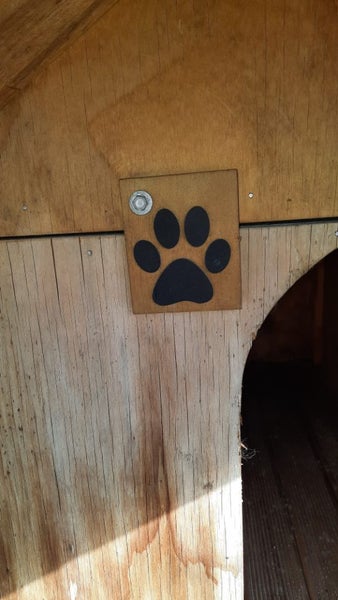Dog Kennel Carousel 4