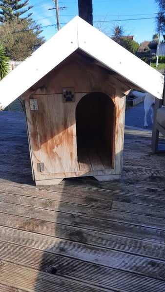 Dog Kennel Carousel 1