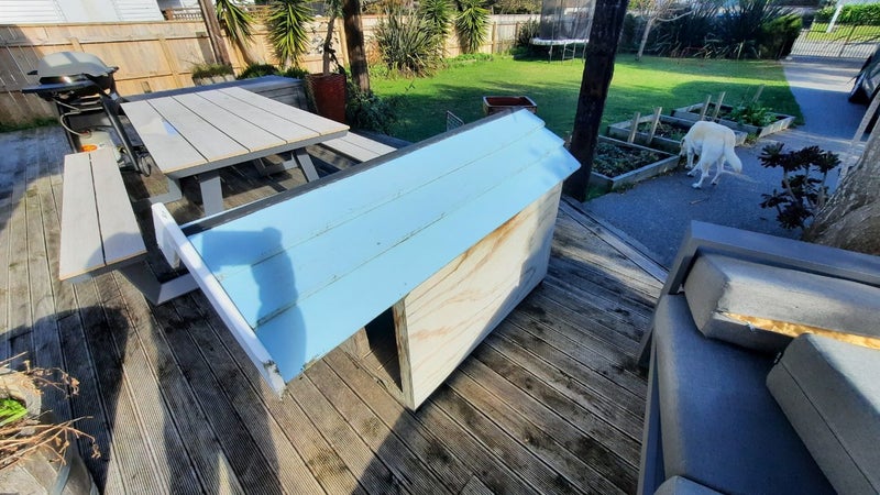 Dog Kennel Carousel 2