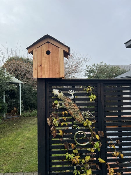 Larch Birdhouse with Cleanout Drawer- (Get now ready for Spring Nesting Season) Carousel 2