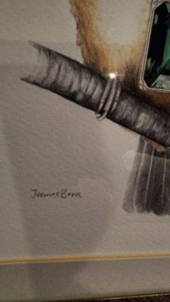 Beautiful Kingfisher print by Joanne Bowe62854319511681112