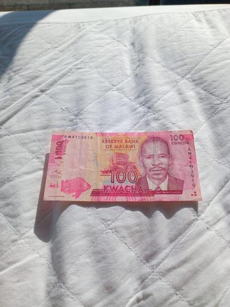 Malawi , 2013 . 100 kwacha Carousel 1