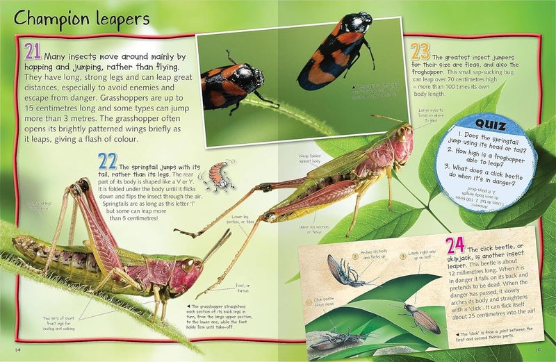 100 Facts Bugs Carousel 2