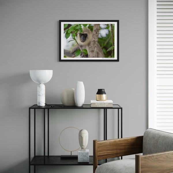 Framed Wildlife Print: Black Faced Monkey (A3) Carousel 1
