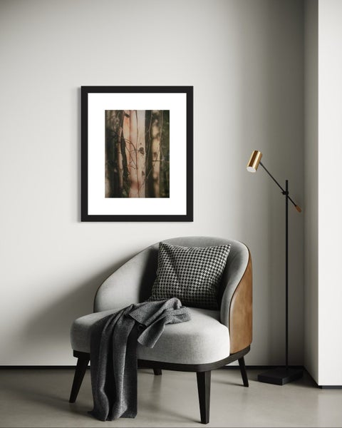 Framed Print: Close up Tree (58x52cm) Carousel 1