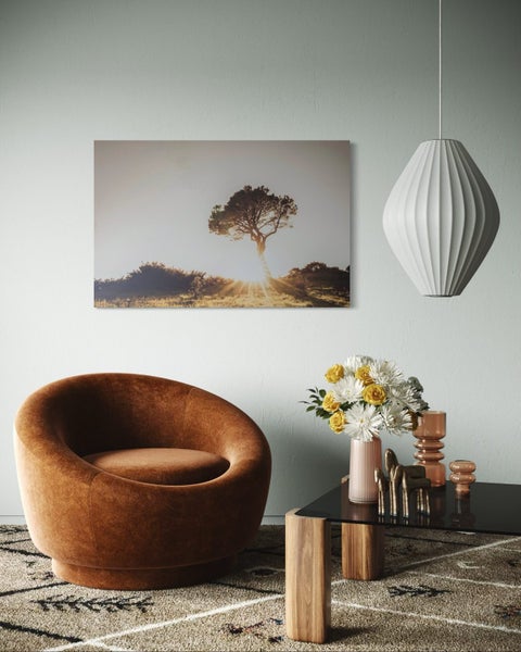 Large Format Canvas Print: Lone Pine Golden Hour (120x80cm) Carousel 1