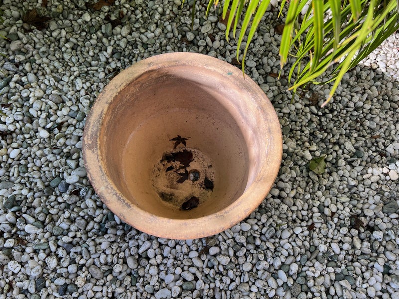 $1 Reserve-Gorgeous Vintage Glazed Planter-30cms Carousel 2