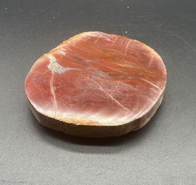 Natural Beauty: Petrified Wood Polished Slice /Natural Fossil Wood Carousel 2