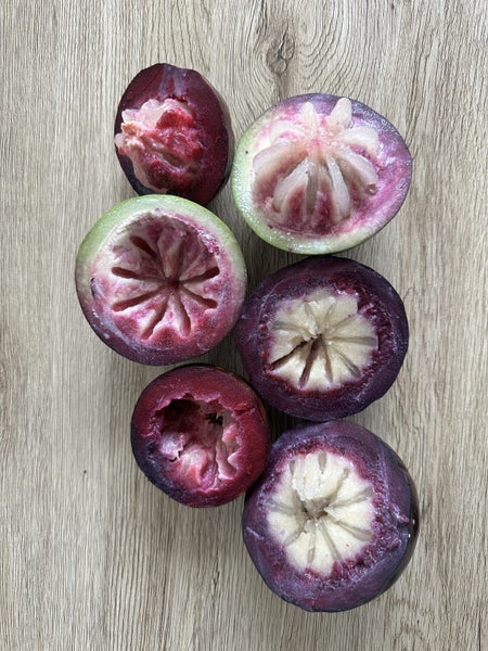 Purple Star Apple Carousel 2