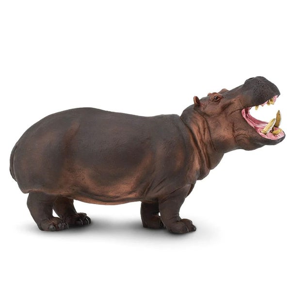 Safari Ltd Hippopotamus XL Carousel 1