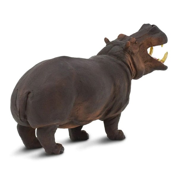 Safari Ltd Hippopotamus XL Carousel 2
