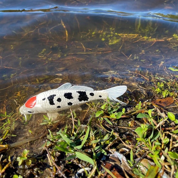 Safari Ltd Koi Fish Tancho XL Carousel 5