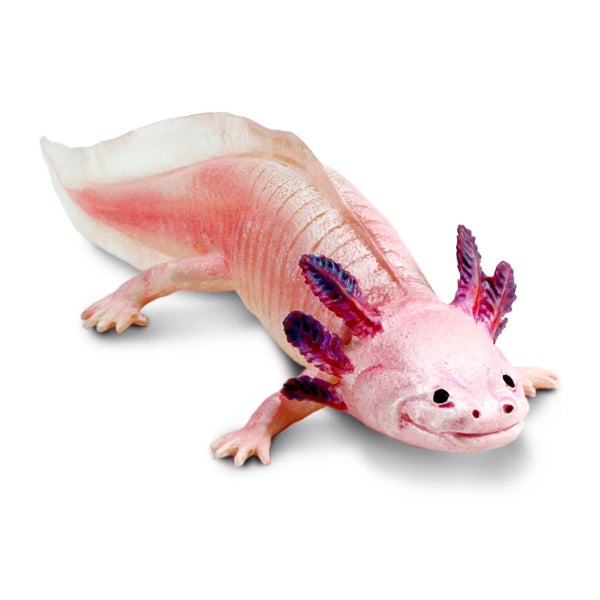 Safari Ltd Axolotl XL Carousel 1