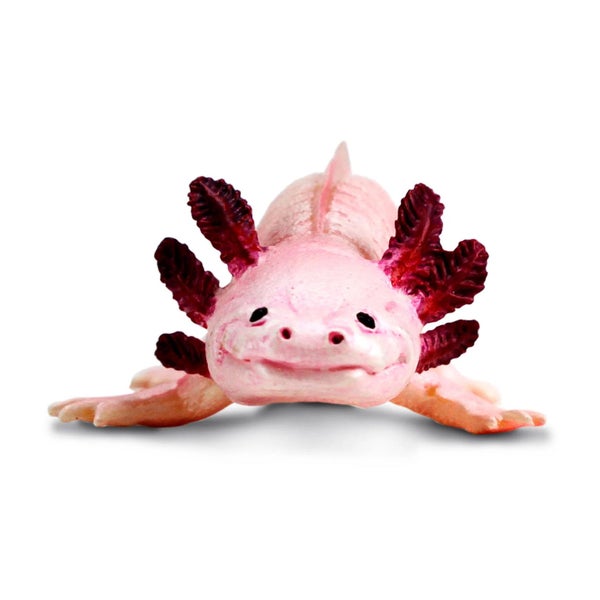 Safari Ltd Axolotl XL Carousel 2