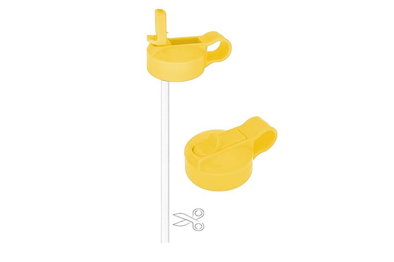 Replacement Wide Mouth Straw Lids for HydroFlask Water Bottle Top Sport Bottle L Carousel 3