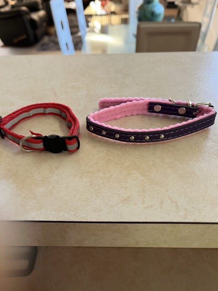 1 kitten collar / 1 cat collar Carousel 1