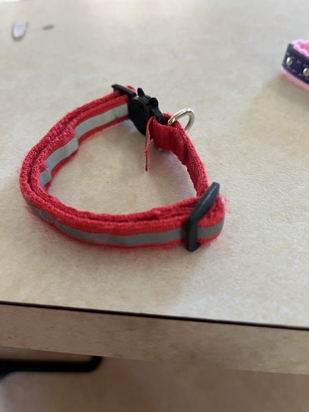 1 kitten collar / 1 cat collar Carousel 3