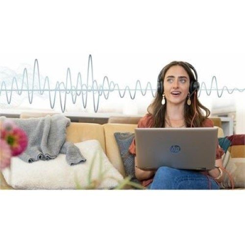 Poly BW 8225 Stereo -M USB-C HS +USB-C/A Carousel 2