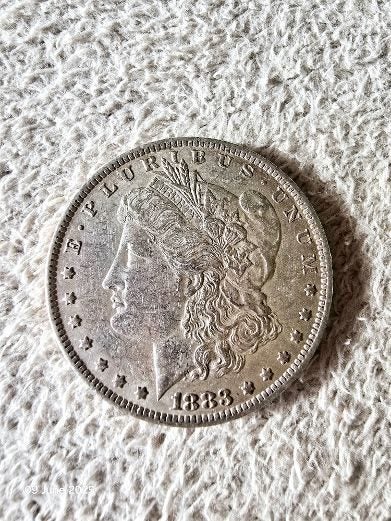 1883 Morgan Silver Dollar Carousel 1