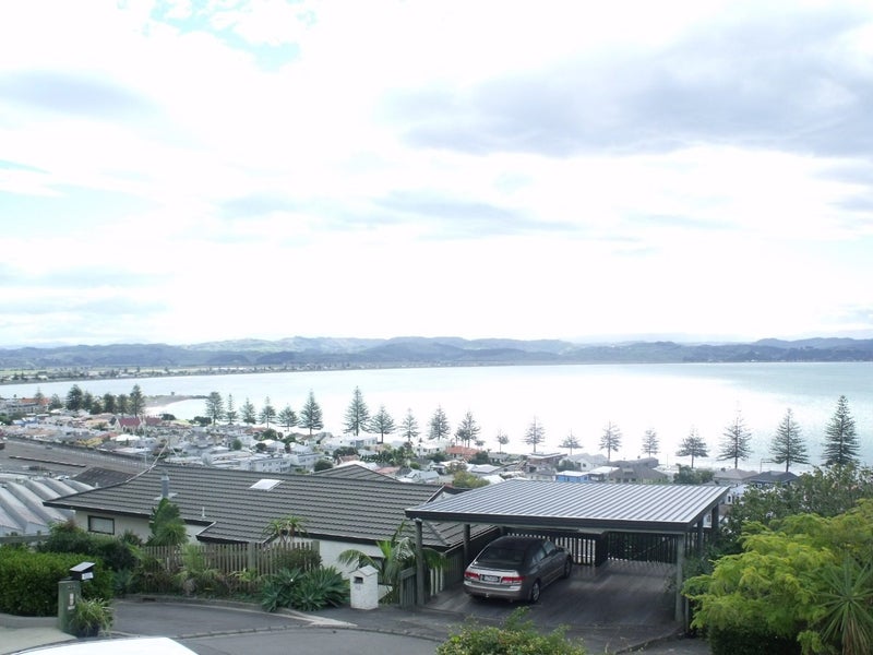 Image 1 of 15