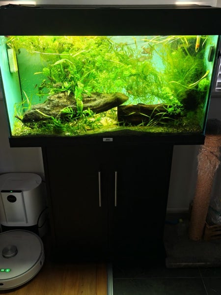 Juwel Rio 125 Fish Tank Carousel 2