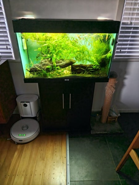 Juwel Rio 125 Fish Tank Carousel 1