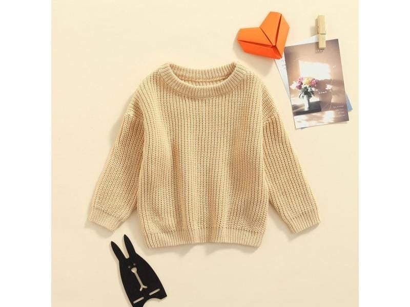 Fashion New Autumn WInter Toddler Baby Girls Boys Sweater Crewneck Thick Kids Carousel 1