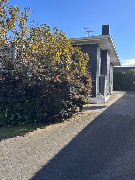 Image 1 of 20