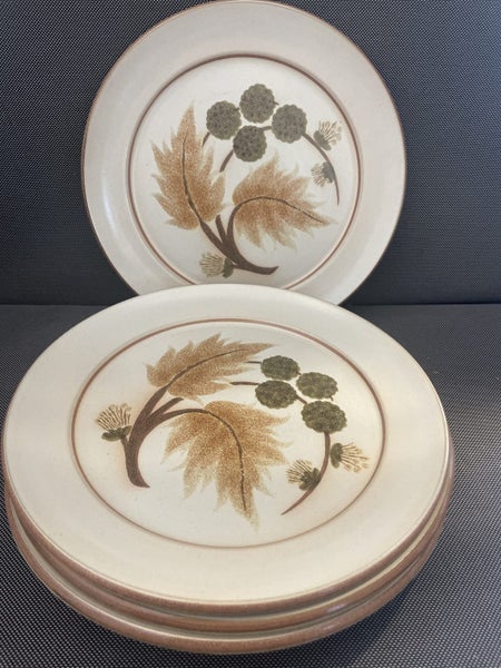 5 vintage Denby Langley Cotswold stoneware dinner plates Carousel 1