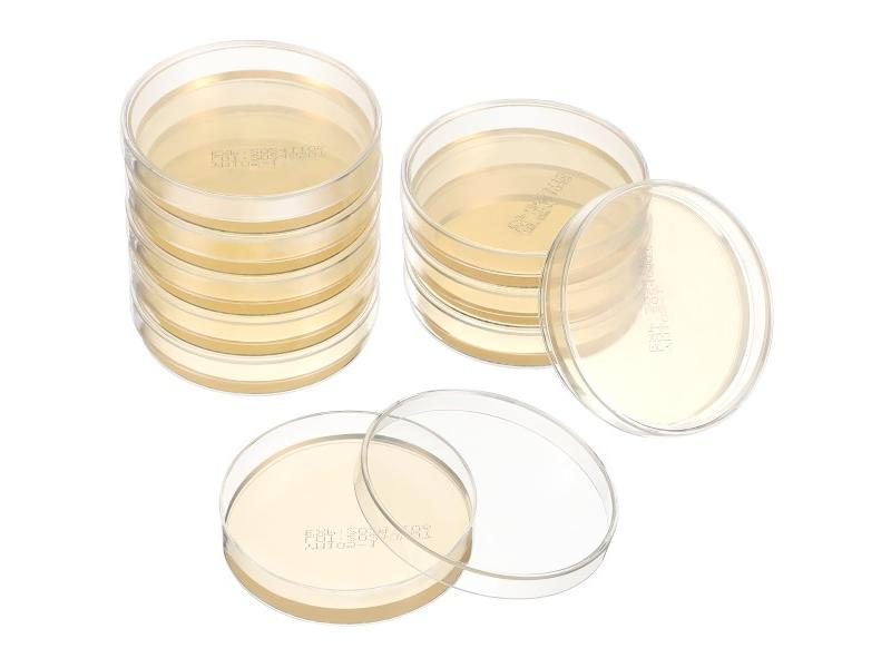 10Pcs Nutrient Agar Plate Glass Dish Lid Sterile Petri Dishes Finished Product Carousel 1
