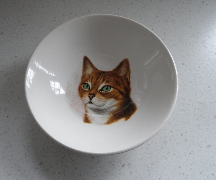 ROYDON - TINY TOTS WARE - CAT - BOWL Carousel 1