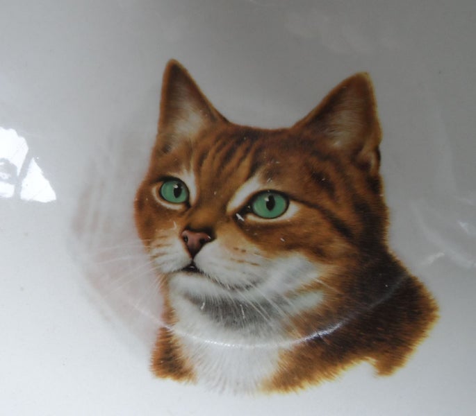ROYDON - TINY TOTS WARE - CAT - BOWL Carousel 2