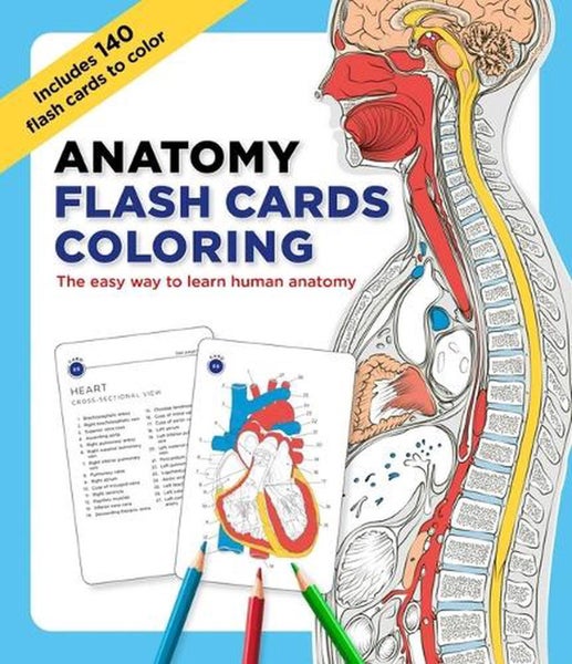 Anatomy Flash Cards Coloring by Editors of Thunder Bay Press - Carousel 1