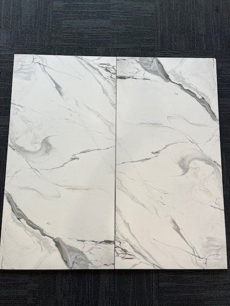 LARGE ITALIAN FEATURE TILES 590X1175 - 2 TILES/1.386m2 - $1 NO RES! Carousel 1