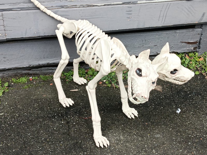 Creepy Halloween Scary 2 headed Dog Orthrus Carousel 2