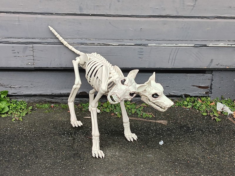 Creepy Halloween Scary 2 headed Dog Orthrus Carousel 1