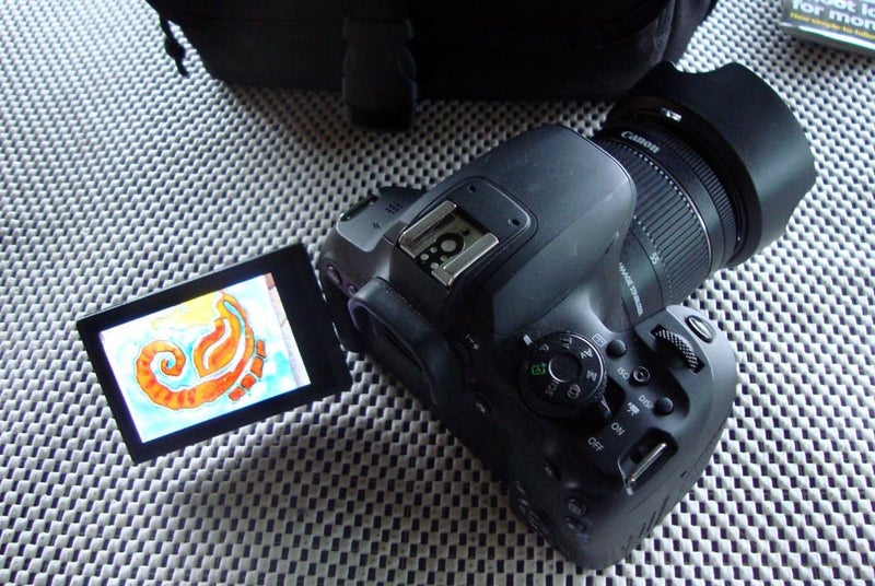 CANON 850D - Shutter Count Only 6% -LATEST MODEL!62863849281923113