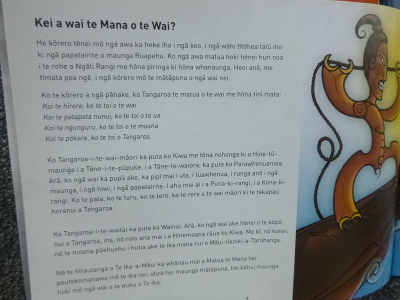 Te Reo Maori Language school books. Te Wharekura x13 books Carousel 17