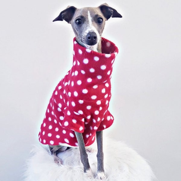 STYLECOM.NZ - Red + White Polka Dot Dog Top - Made In NZ • Size S Carousel 1