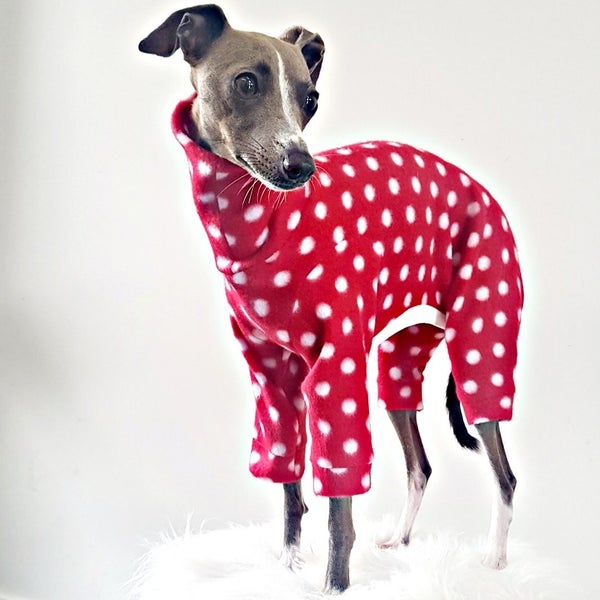 STYLECOM.NZ - NZ Designer Dog PJs - Red + White Polka Dot - Size S Carousel 1