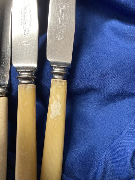 10 Random Bone Handled Knives Carousel 9